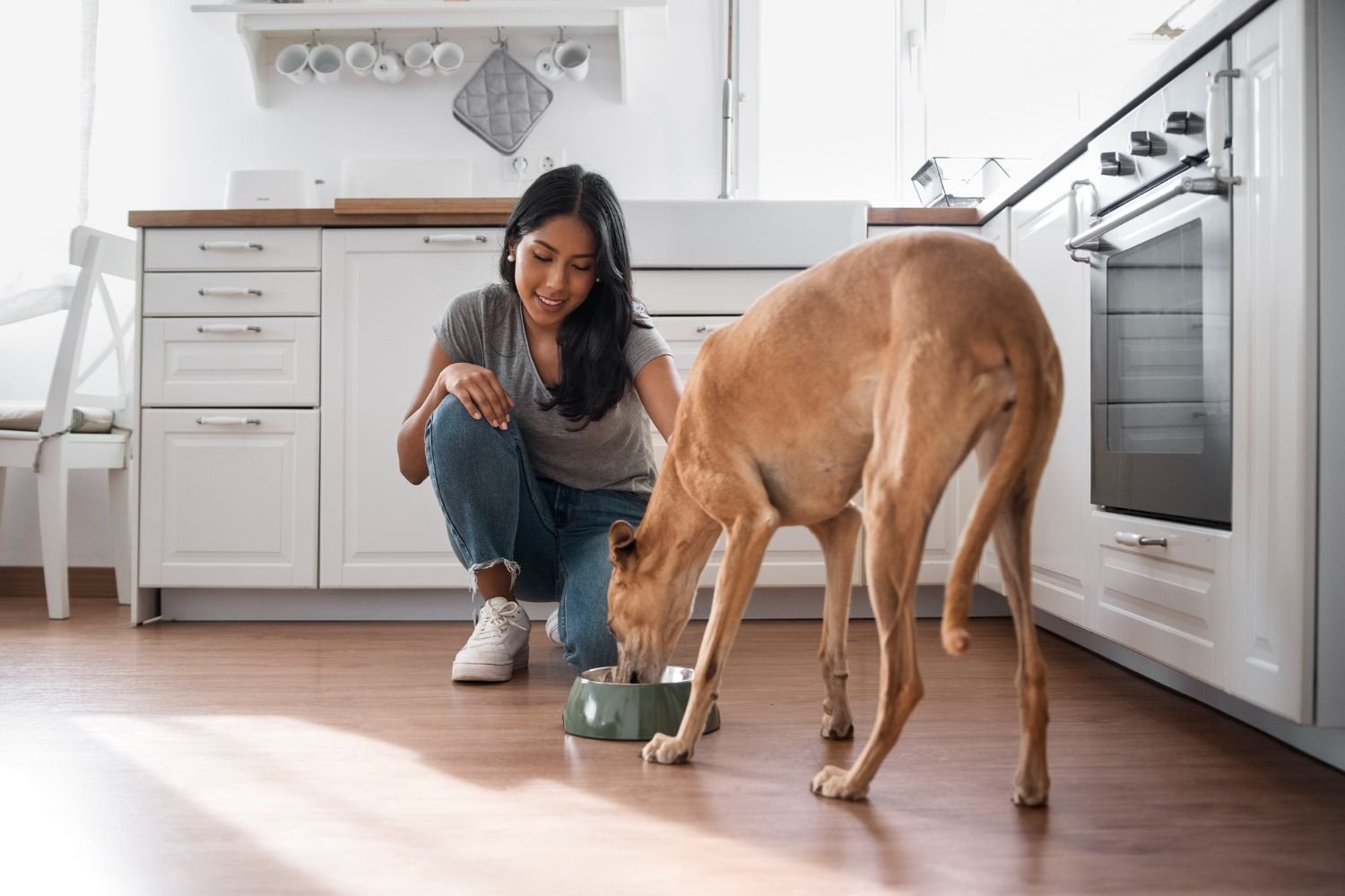Dog eating homemade meal with fresh chicken, rice, and vegetables in a bowl