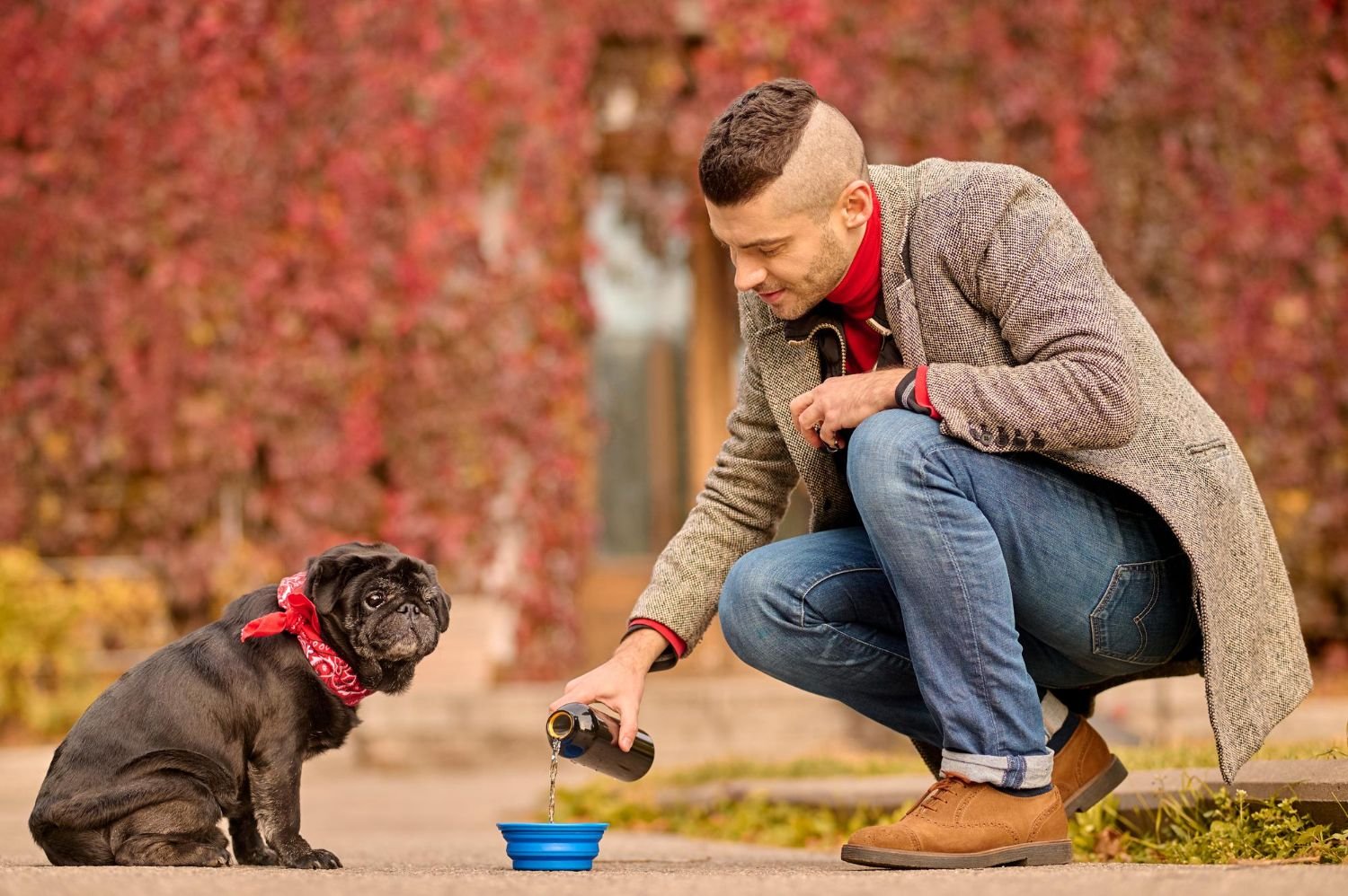 Dog on a leash in a park looking distractedly at something while owner holds a treat