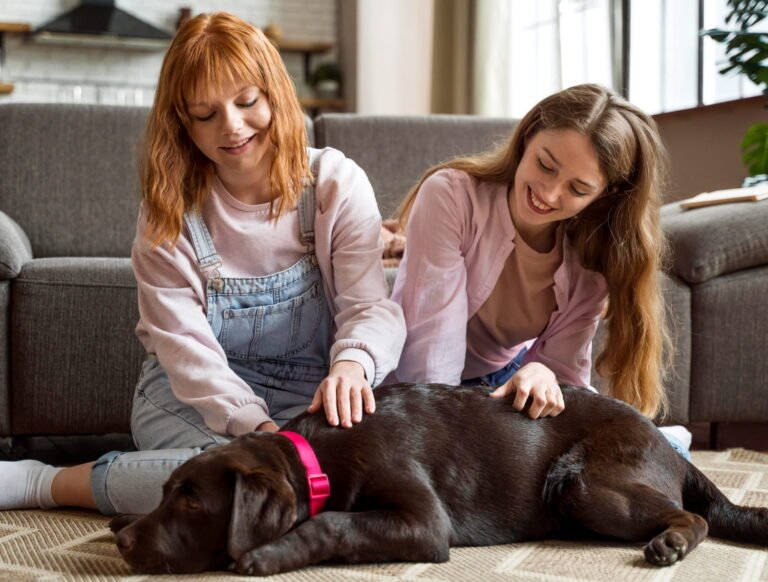 Pet parent caring for a happy dog and building a loving bond