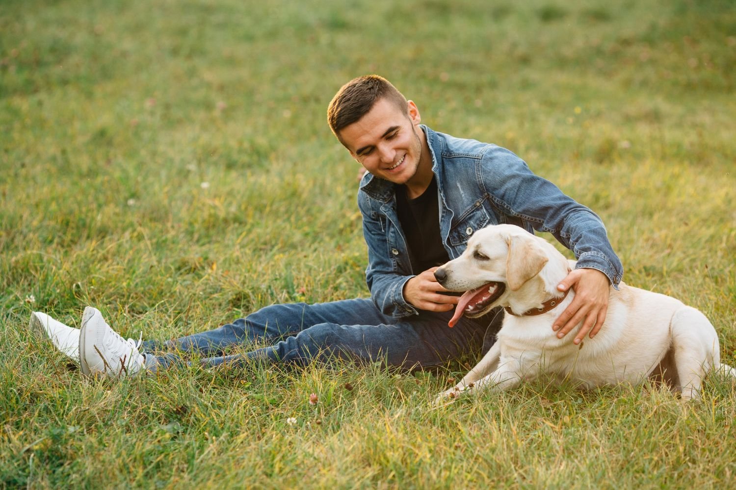 Dog and owner sharing a calm, affectionate moment showing emotional bond