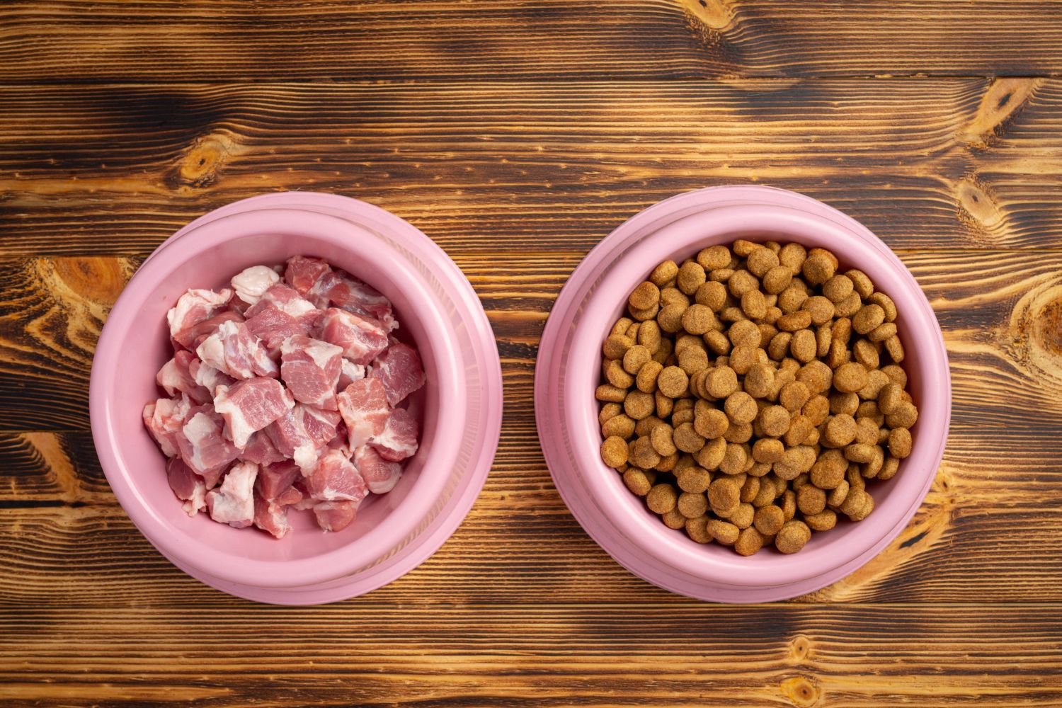 Fresh dog food and kibble bowls side by side with vegetables and meat ingredients