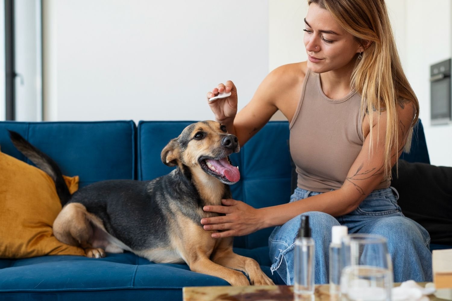 Dog grooming supplements and coat care products arranged on a table with a brush and healthy dog
