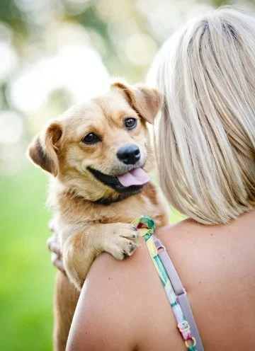Practical Pet Care Guidance